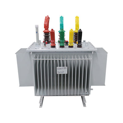 1000kva Driefasige kopertransformer Elektrische Safehermtransformer 13.8kV 11kV 400V