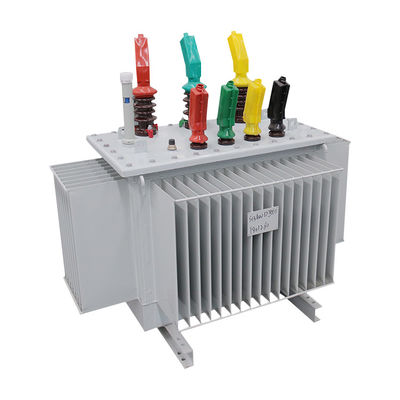 IEC / GB-standaard 750 kva elektrische distributietransformator voor driefasige toepassingen